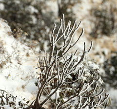 IMG_3171a